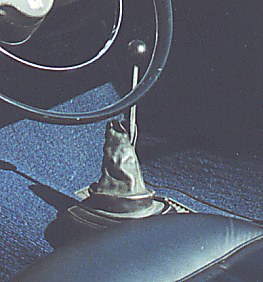 BVNARDI.JPG (23590 Byte)